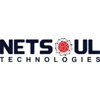 Netsoul Technologies