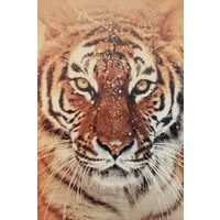 Time Petroleum Limited