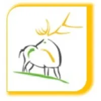 BSC Global (Bindroo Group)