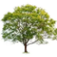 ProMark Landscaping, Inc.