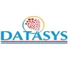 Datasys Consulting and Software Inc.