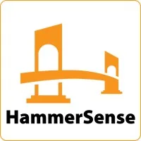 HammerSense Consulting