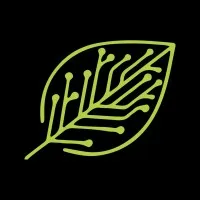 Fair Grade Forests Fair Grade Forests