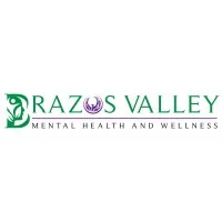 BRAZOS VALLEY MENTAL HEALTH AND WELLNESS