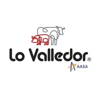 Lo Valledor AASA email format