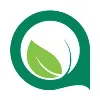Bazar Sazan Avand Herbs Bazar Sazan Avand Herbs