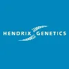 Hendrix Genetics Layers Hendrix Genetics Layers