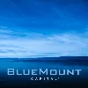 BlueMount Capital