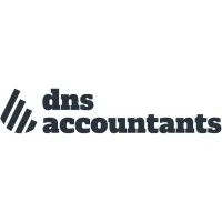 dns accountants