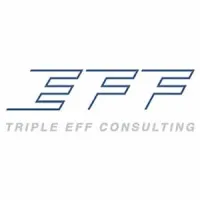 Triple EFF Consulting