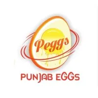 PEGGS INDIA PEGGS INDIA