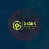 Gesex 