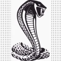 Cobra Productions