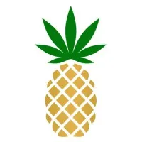 Pineapple, Inc. Pineapple, Inc.