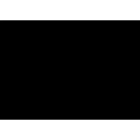 Execela Infosystem Inc