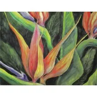 Schilling Art Studio