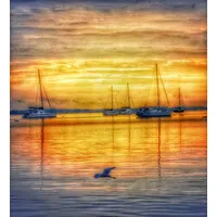 Glen Allen Glen Allen