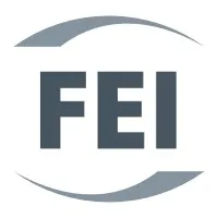 FEI Group