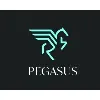Pegasus Global Pegasus Global