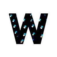 Whaleshark Studio