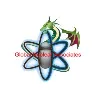 Global Nuclear Associates LLC