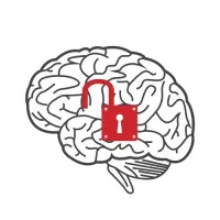 Arcadia Cognerati Arcadia Cognerati