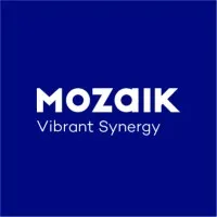 Mozaik email format