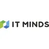IT Minds LLC IT Minds LLC