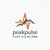 PeakPulse Networking Solutions PeakPulse Networking Solutions