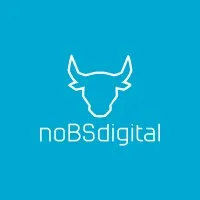 noBSdigital - web analytics consultancy