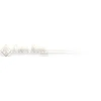 Carol Klein Fine Jewelry