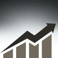 D Arora & Co, CPA D Arora & Co, CPA