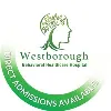 Westborough Behavioral Healthcare Hospital