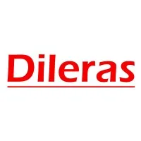 Dileras Bilişim ve Danışmanlık Hizmetleri