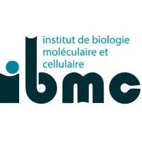 IBMC