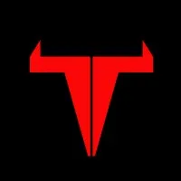Tradebulls Securities (P) Limited