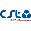 CST Consulting - Horsa Company CST Consulting - Horsa Company