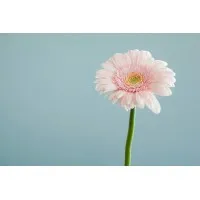 Hello Greater London, United Kingdom Hello Greater London, United Kingdom