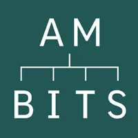AM-BITS LLC
