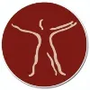 All-Care Physical Therapy Center All-Care Physical Therapy Center
