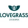 Lovegrass Ethiopia Lovegrass Ethiopia