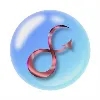 Siance Software Private Limited Siance Software Private Limited