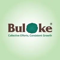 Buloke Realty Ventures Pvt Ltd