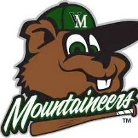 Vermont Mountaineers Baseball