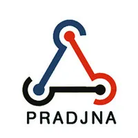 Pradjna Intellisys Pvt. Ltd.