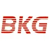 BKG AUTOMOTIVE PVT LTD. BKG AUTOMOTIVE PVT LTD.