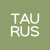 Taurus HCD Taurus HCD