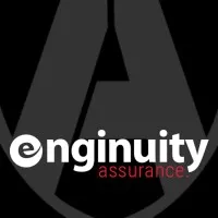 Enginuity-LLC