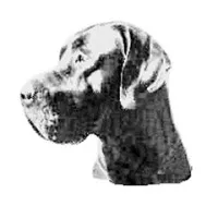 Integrity Construction Group Inc.