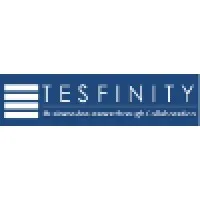 Tesfinity Consulting